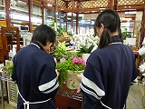 ファイル 1226-3.jpg