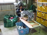 ファイル 1228-2.jpg
