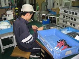 ファイル 1231-3.jpg